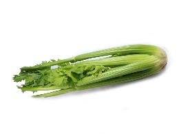 เซเลอรี่