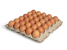 ไข่ไก่