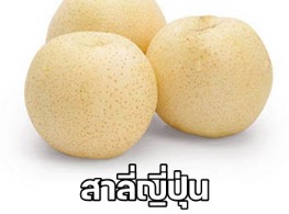 สาลี่ญี่ปุ่น