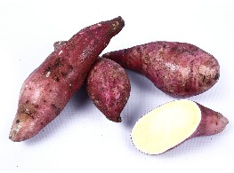มันเทศ